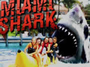 Play Miami Shark Game Online