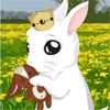 Play Bunny Game Online