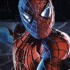 Play Spiderman 3 memory match Game Online